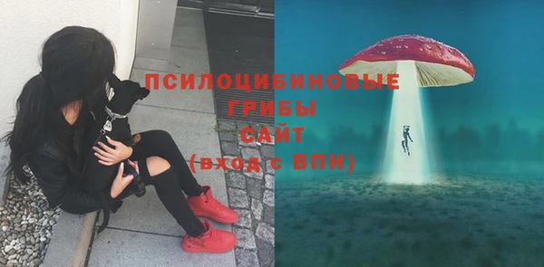 ALPHA-PVP Белокуриха