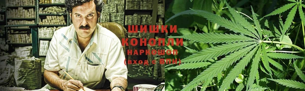ГАЛЛЮЦИНОГЕННЫЕ ГРИБЫ Белоозёрский