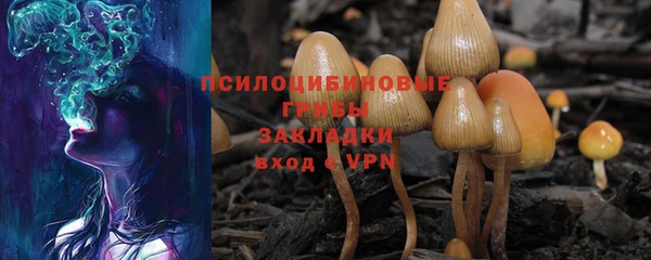 ГАЛЛЮЦИНОГЕННЫЕ ГРИБЫ Белоозёрский